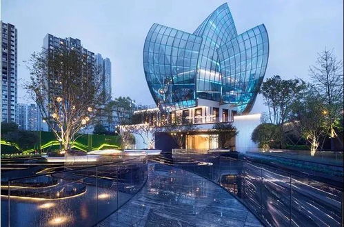 徐州 新朋友 之新希望 有人跨界去养猪,有人跨界卖房子