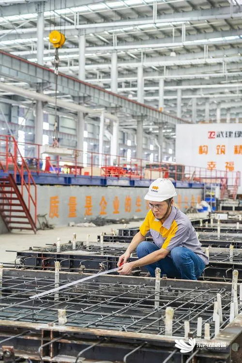 居然是拼起来的 东西湖这些房子不一样