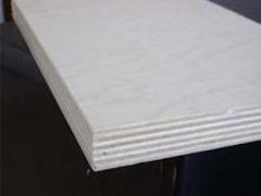 质量好的36尺建筑模板,厂家火热供应:建筑模板价格一览表图片|质量好的36尺建筑模板,厂家火热供应:建筑模板价格一览表产品图片由山东永泰建筑模板厂公司生产提供-