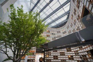 建业新筑剑指绿博标杆，又一“筑”系列产品入市